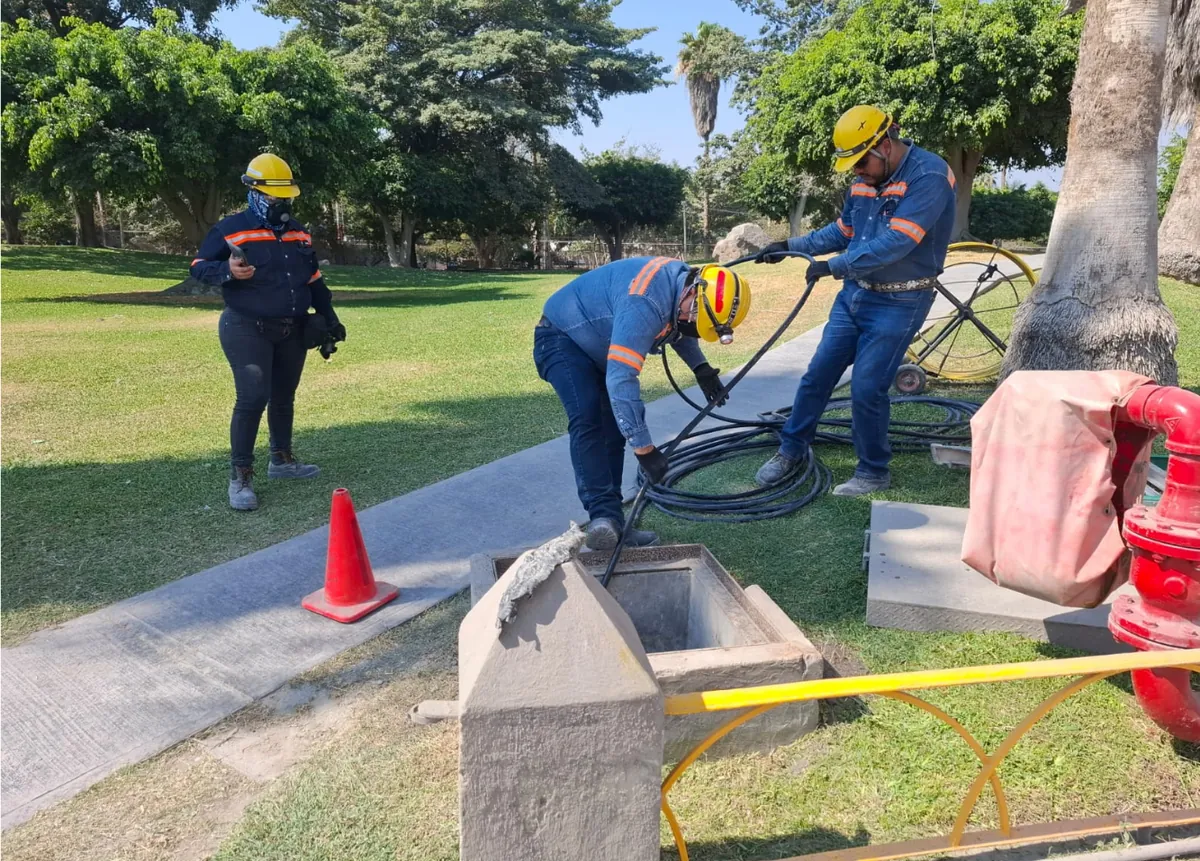 Trabajo en altura para despliegue de infraestructura en planta